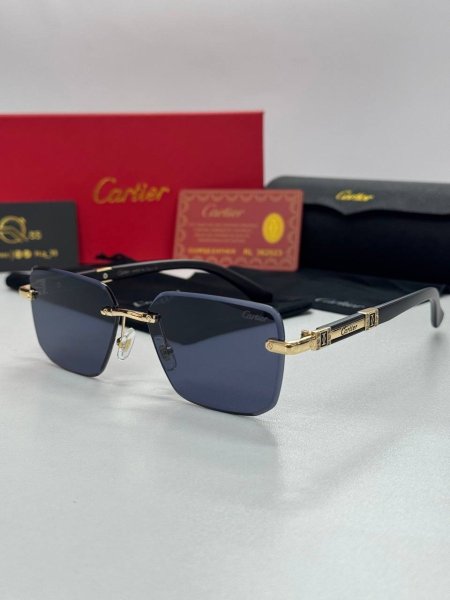 משקפי שמש גבריים של קרטייה